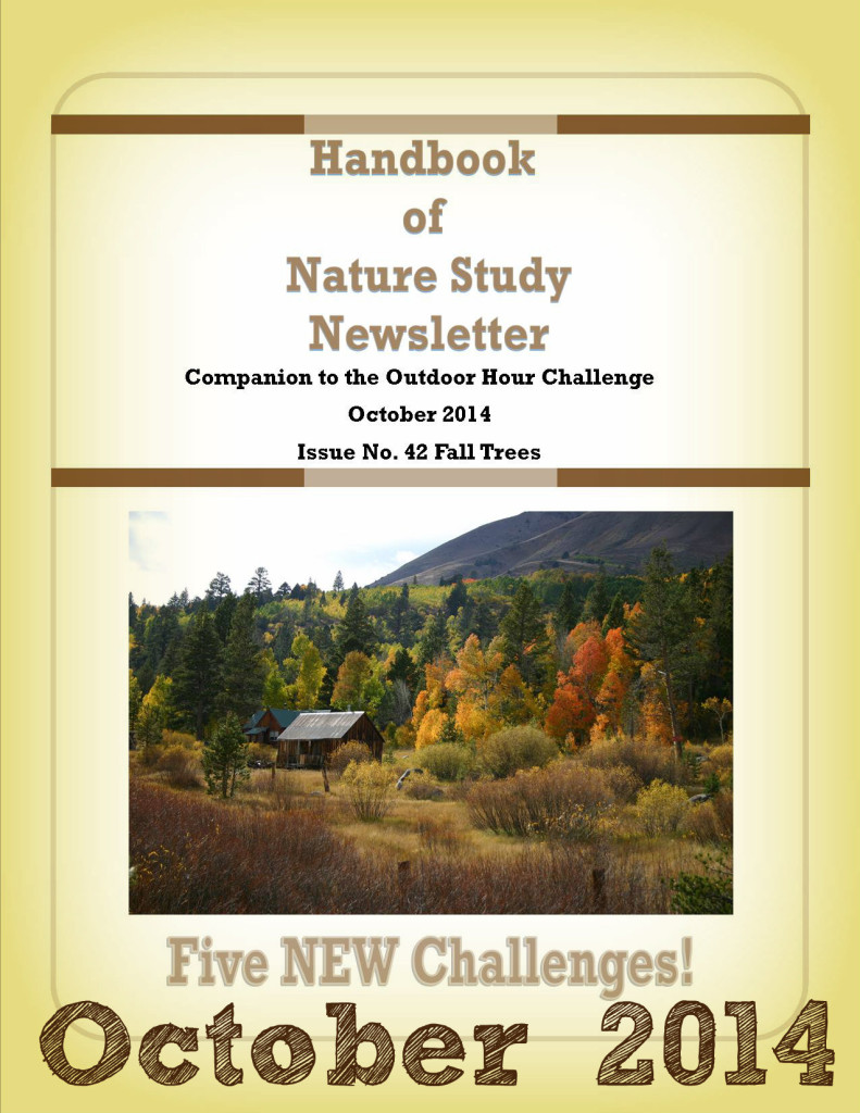 Handbook of Nature Study October 2014 Fall Trees Newsletter Cover