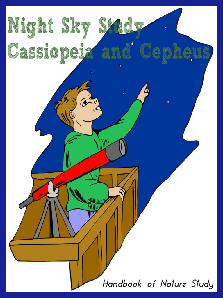 Night Sky Star cassiopeia and cepheus @handbookofnaturestudy