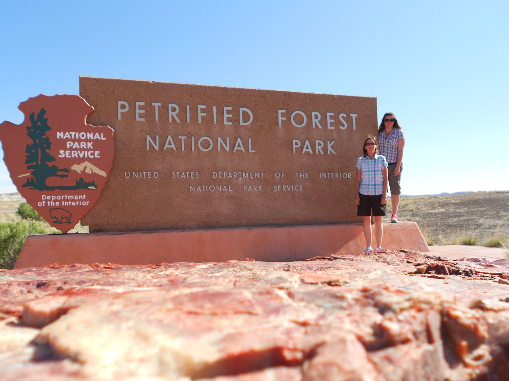 Petrified Forest National Park May 2014 (3)