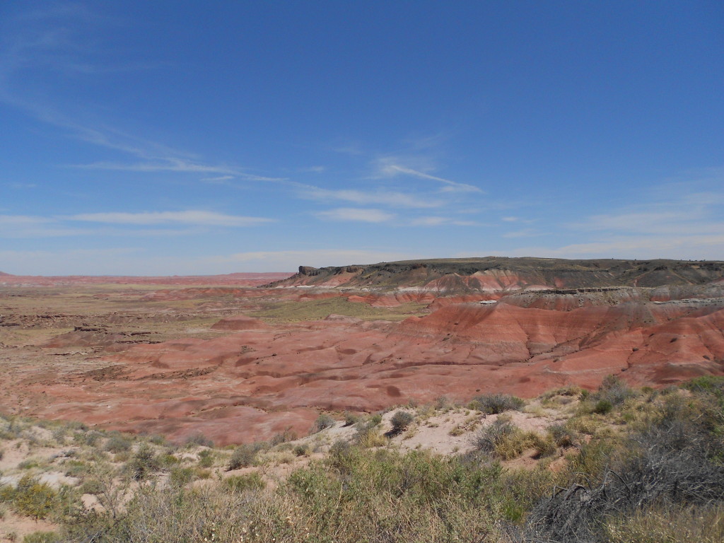 Petrified Forest National Park May 2014 (4)