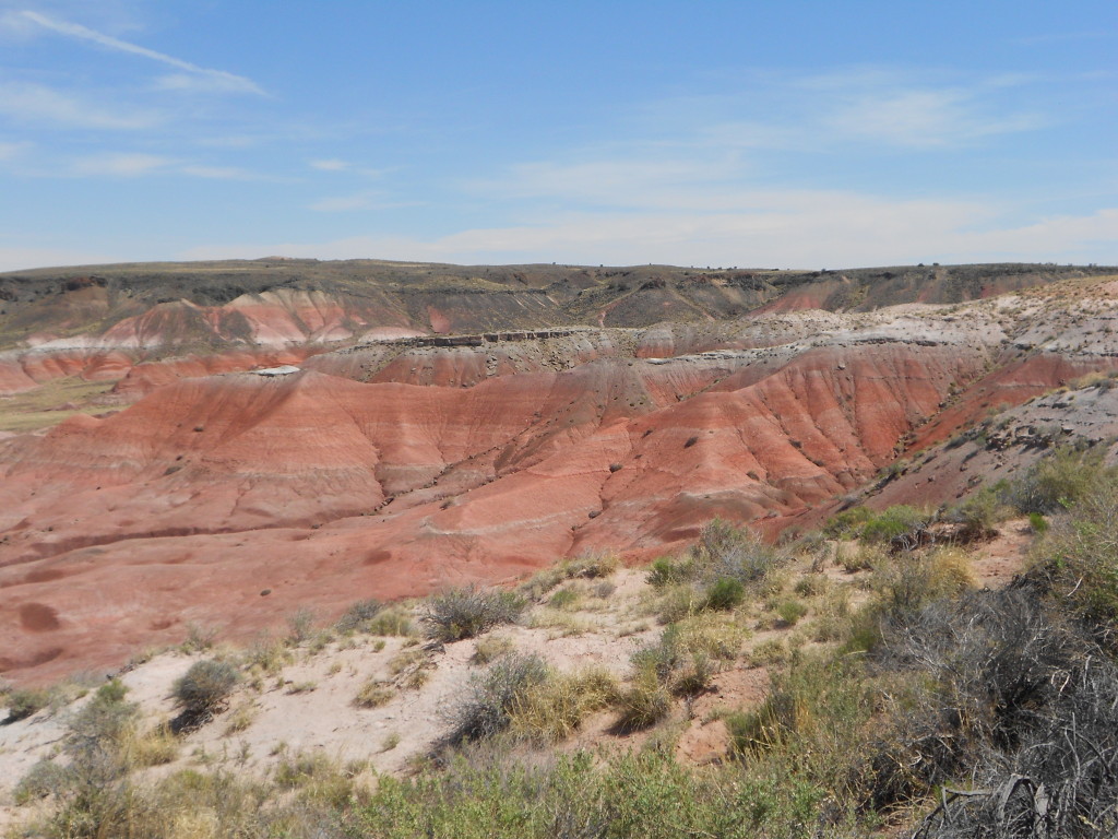 Petrified Forest National Park May 2014 (6)