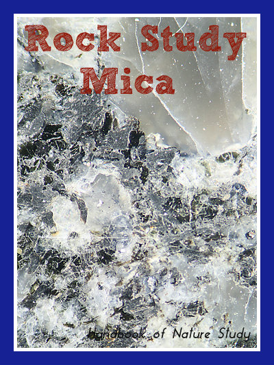 Rock Study Mica @handbookofnaturestudy