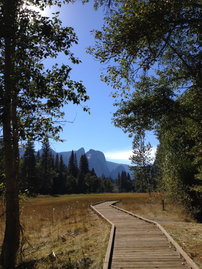 Yosemite October 2014 (65)