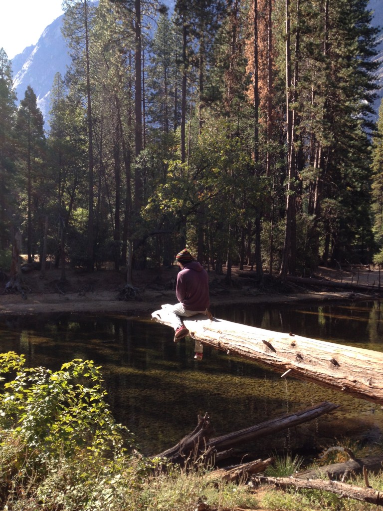 Yosemite October 2014 (86)