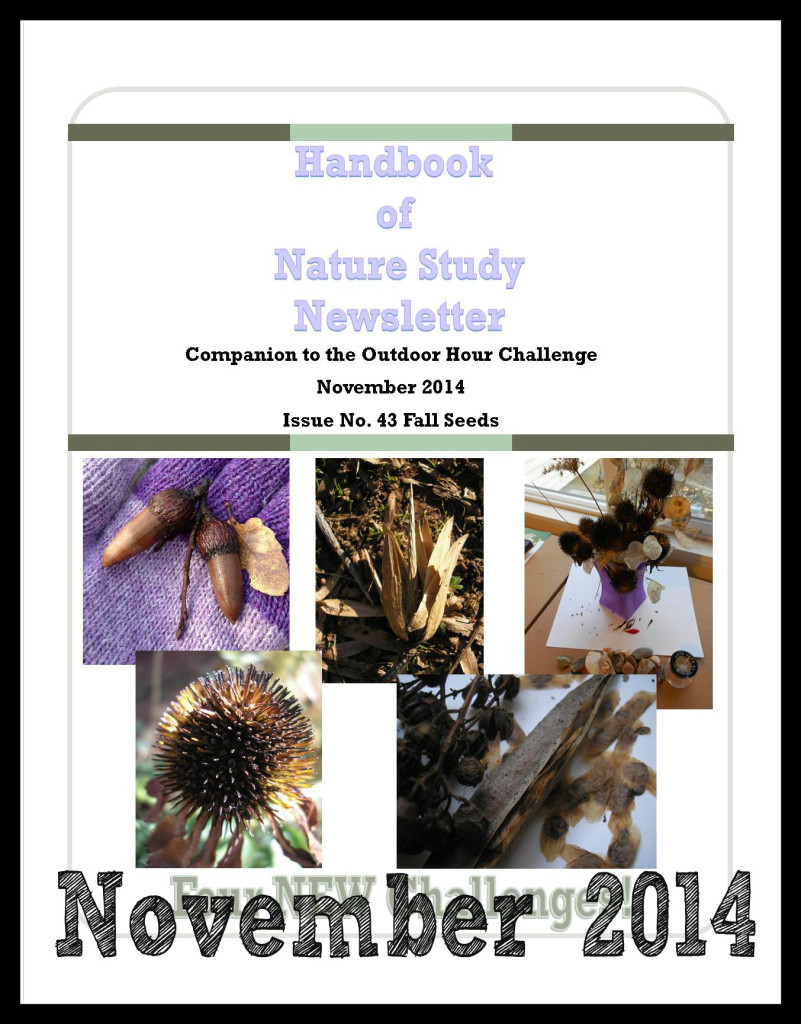 Handbook of Nature Study Newsletter Cover November 2014 Image