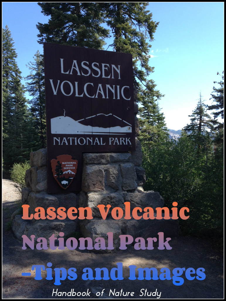 Lassen Volcanic National Park Tips and Images @handbookofnaturestudy