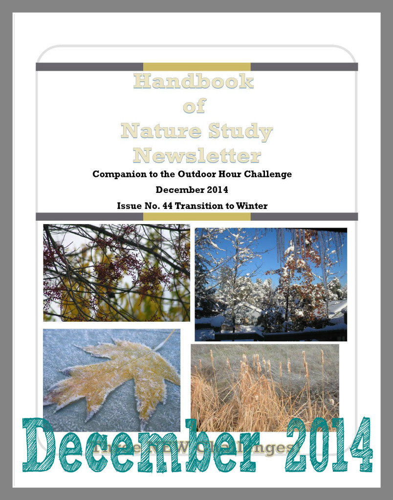 Handbook of Nature Study Newsletter December 2014 @handbookofnaturestudy