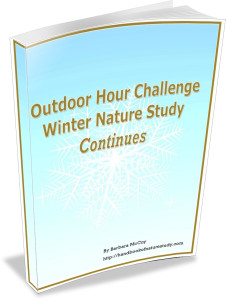 Outdoor Hour Challenge Winter Nature Study Continues ebook