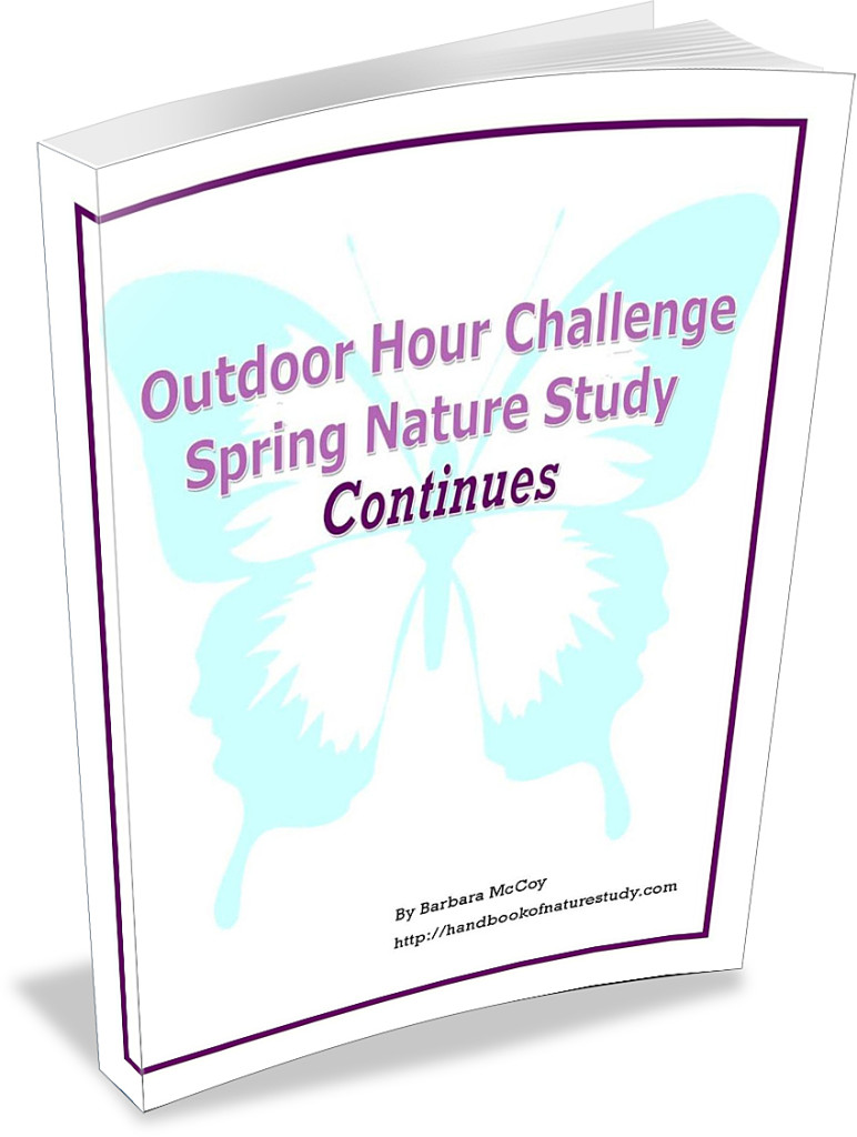 Spring Nature Study Continues Ebook