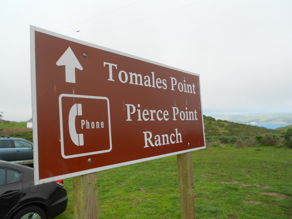 Tomales Point 