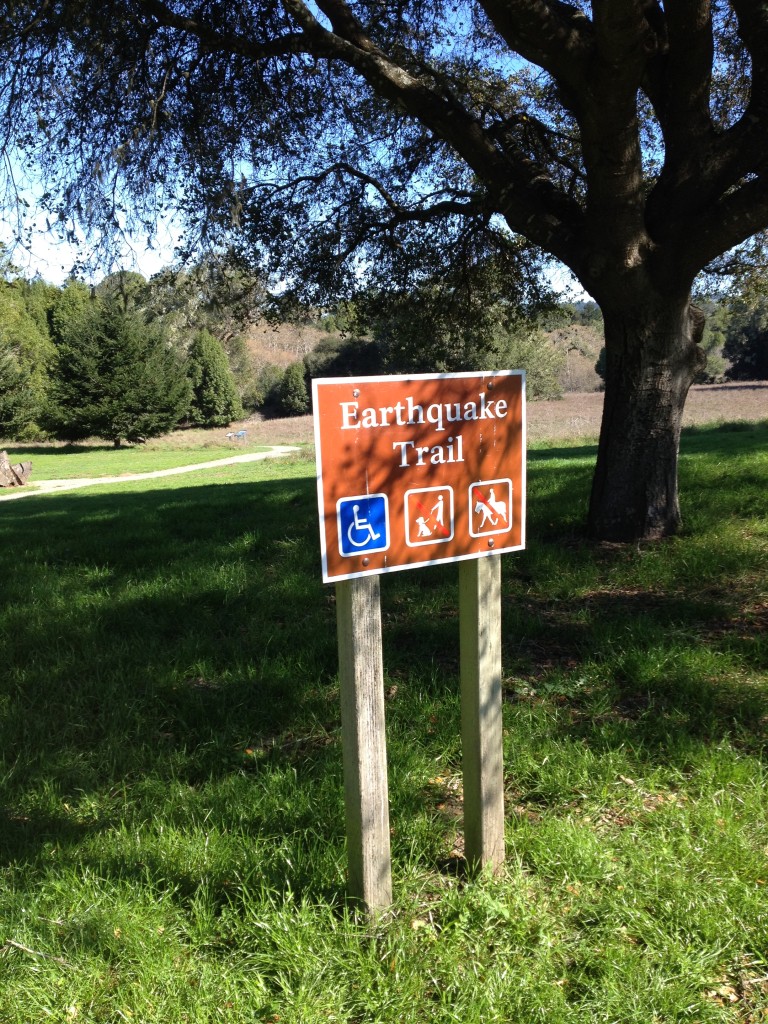 Point Reyes Earthquake Trail