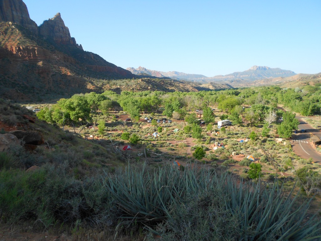 Zion campground