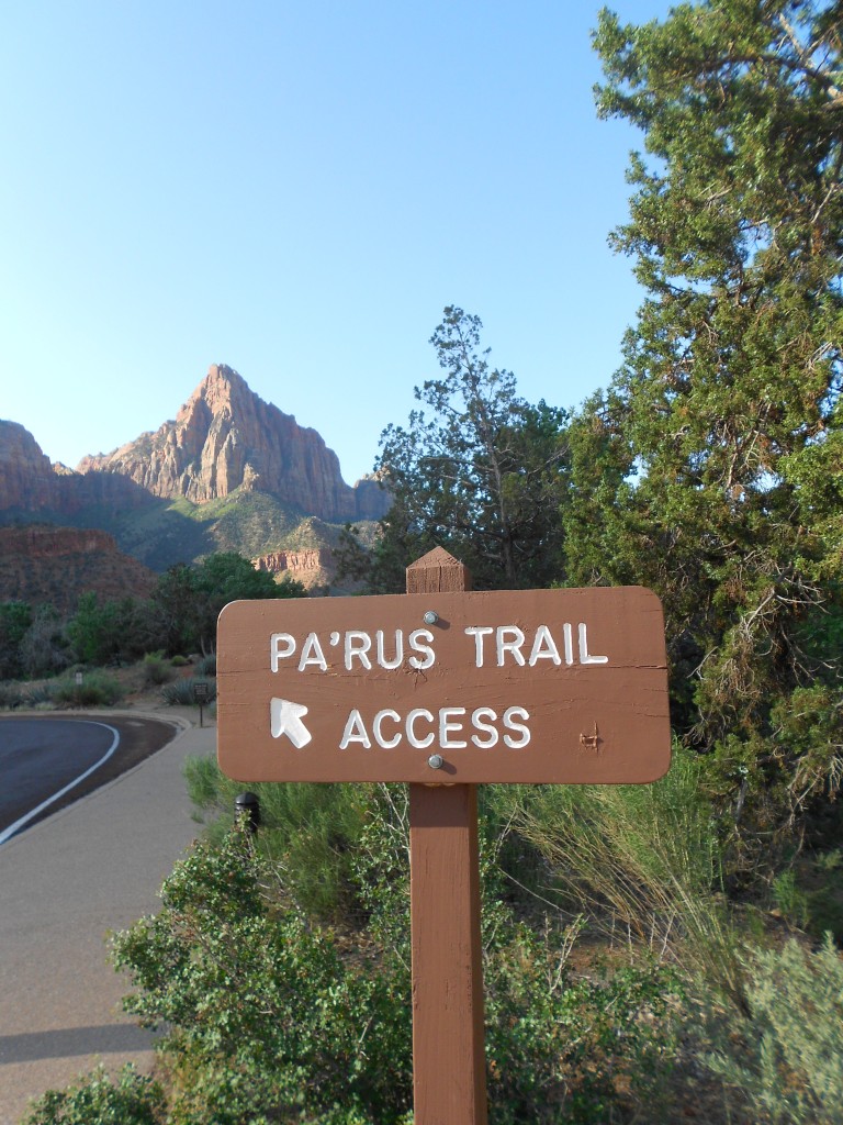 Parus Trail zion