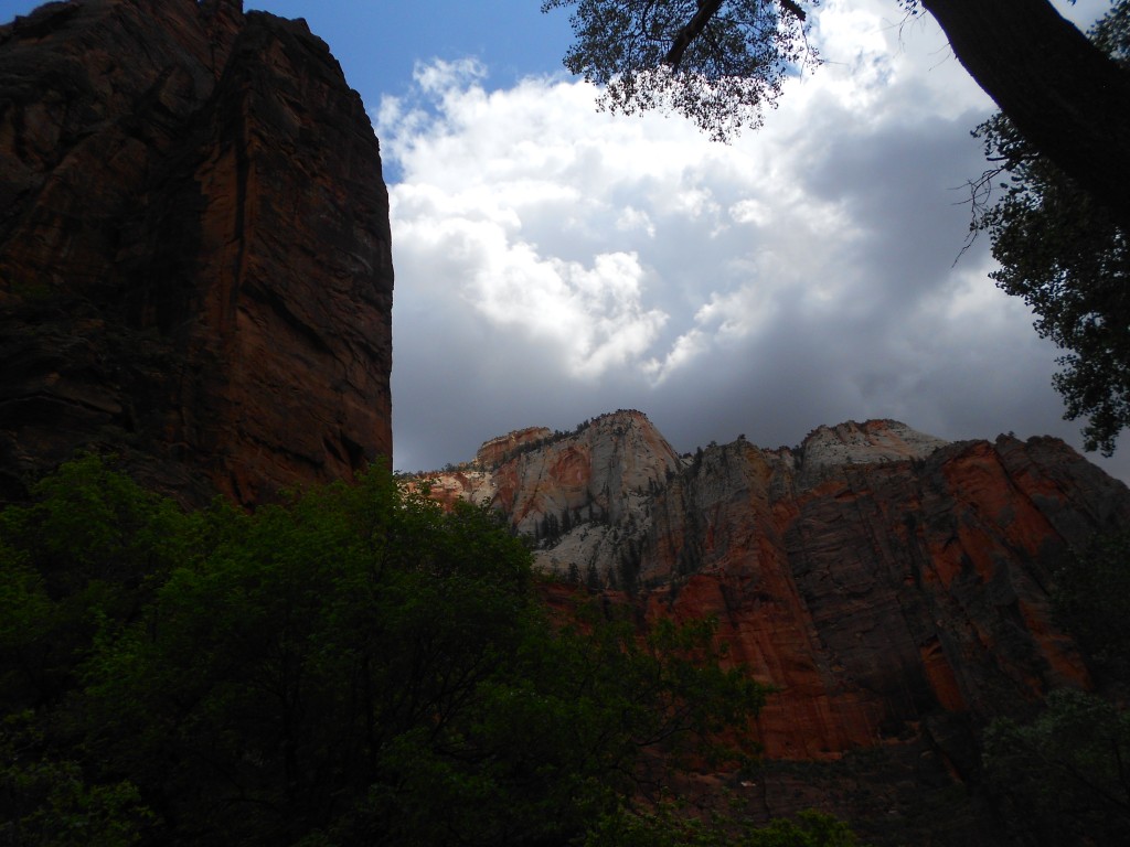 Zion 3