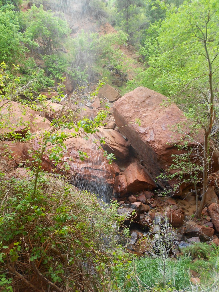 Emerald Pool Zion