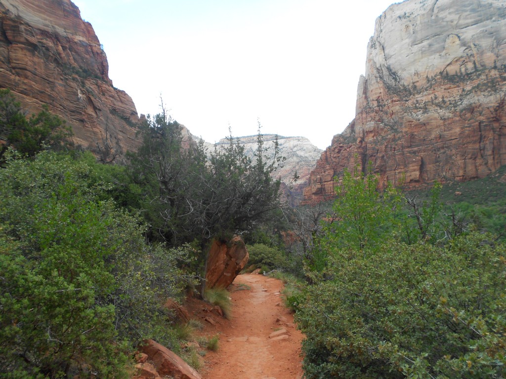 Kayenta Trail Zion 