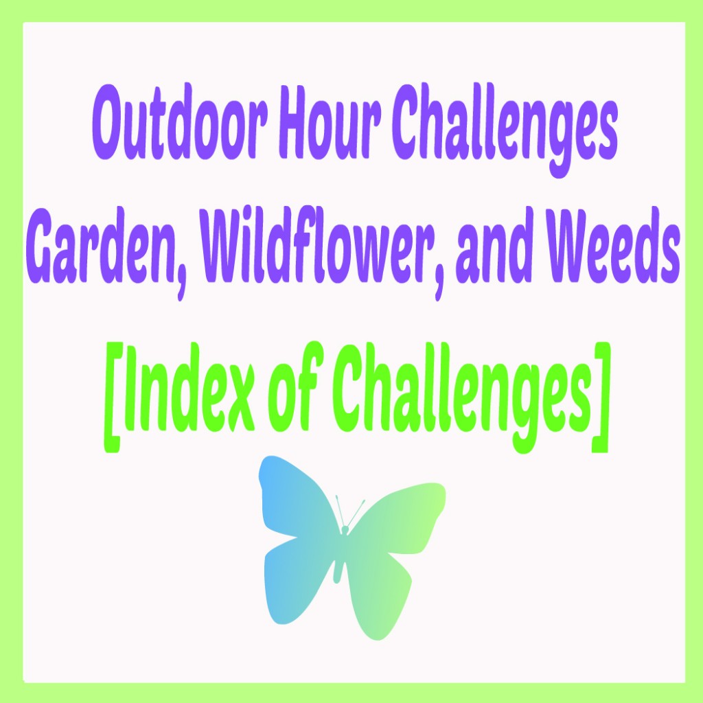 Outdoor Hour Challenge Garden Wildflower and Weeds Index @handbookofnaturestudy