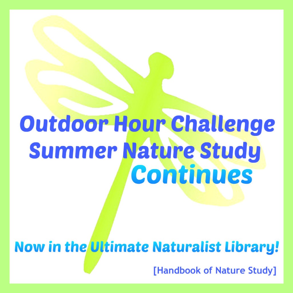 Outdoor Hour Challenge Summer Nature Study Continues ebook @handbookofnaturestudy