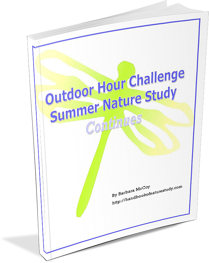 Outdoor Hour Challenge Summer Nature Study Continues ebook