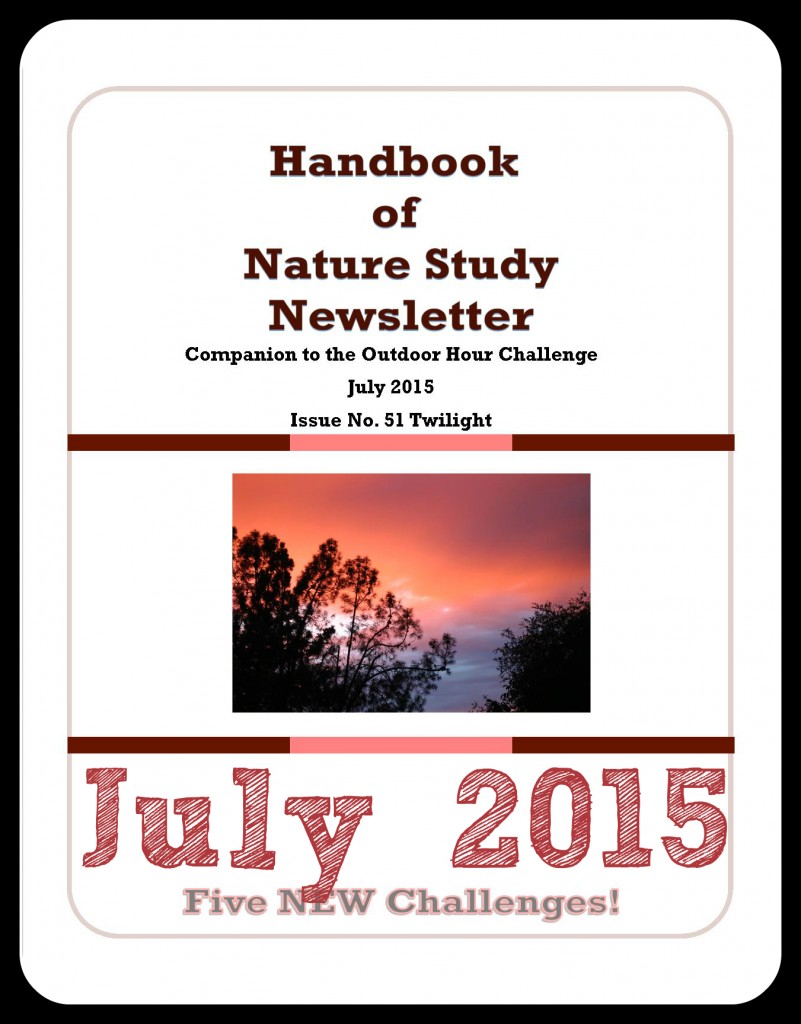 HNS Newsletter July 2015 cover button