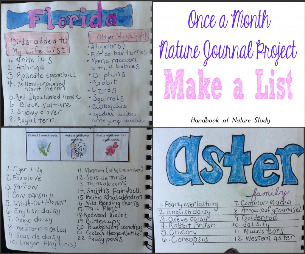 Once a Month Nature Journal Project Make a List @handbookofnaturestudy