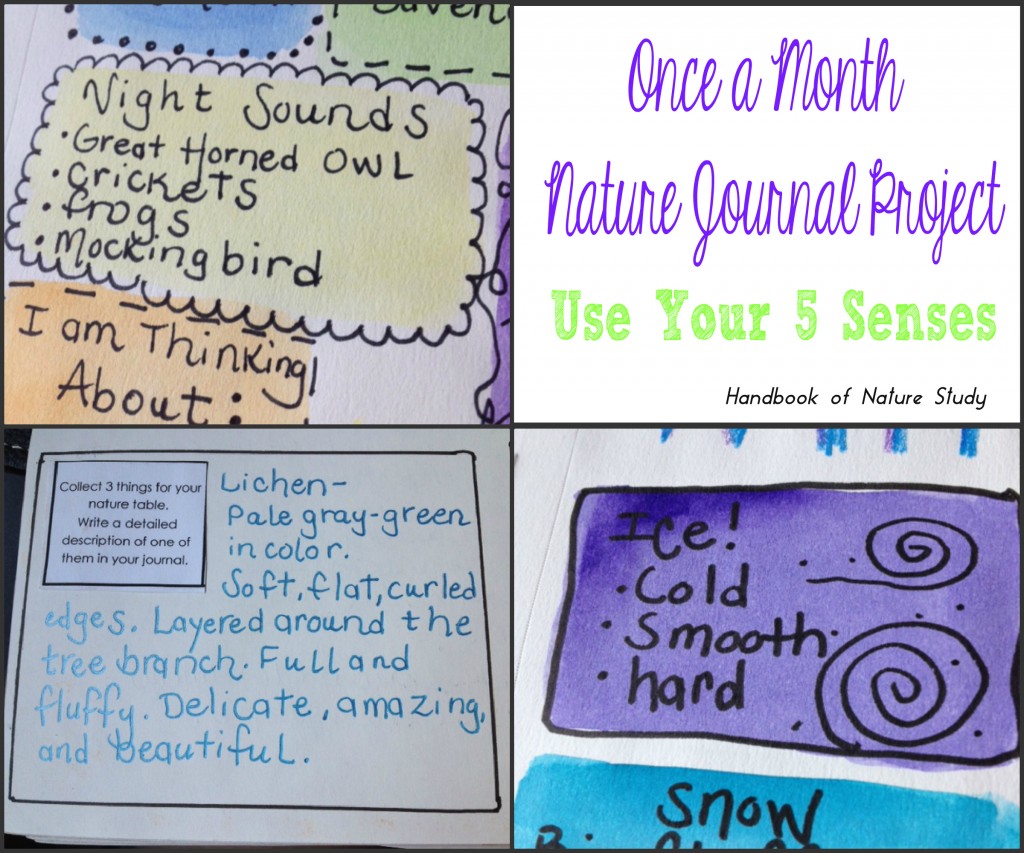 Once a Month Nature Journal Project Use Your 5 Senses @handbookofnaturestudy