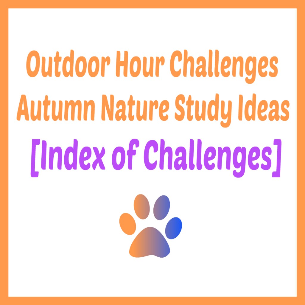 Outdoor Hour Challenge Autumn Nature Study Ideas Index @handbookofnaturestudy
