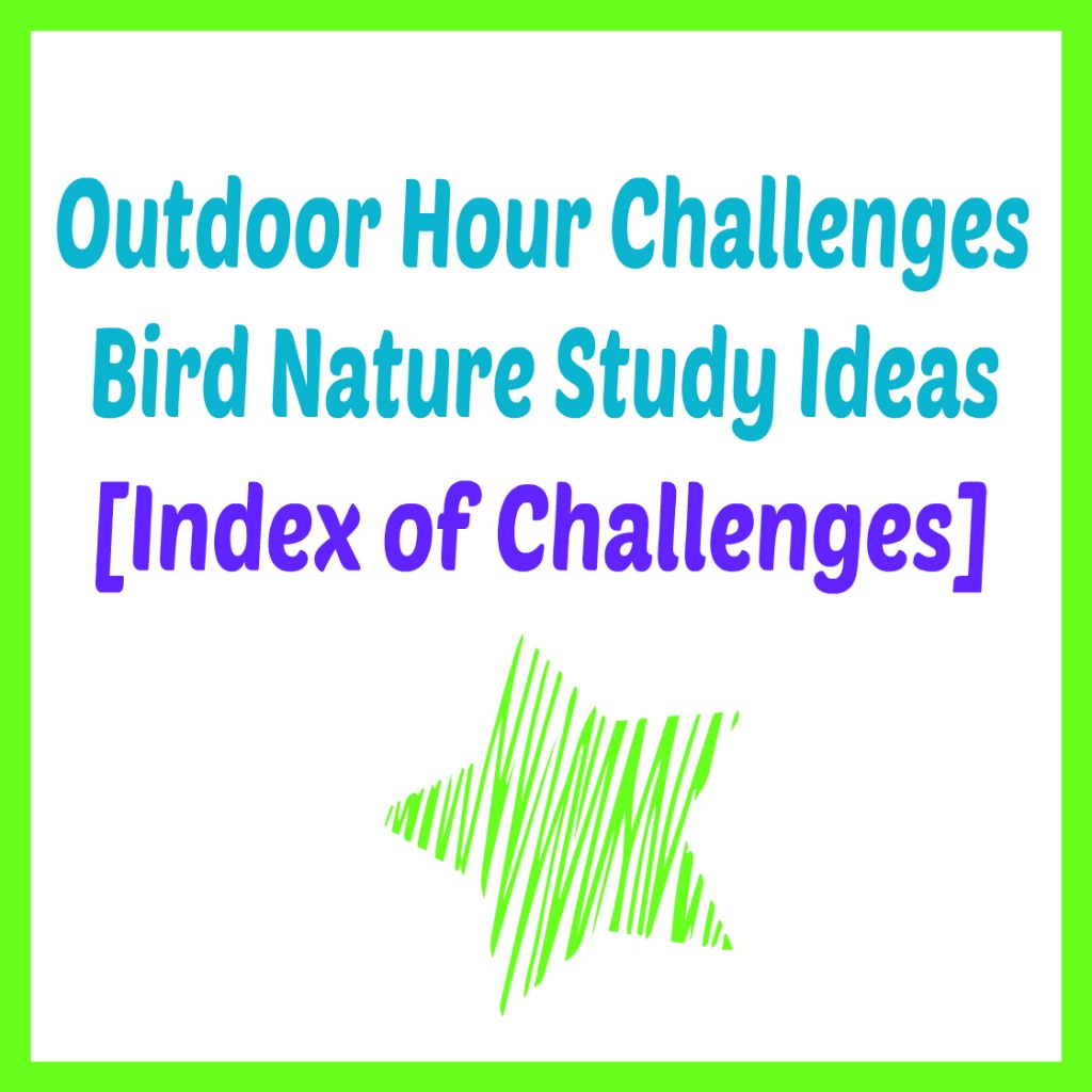 Outdoor Hour Challenge Bird Nature Study Index of Challenges @handbookofnaturestudy
