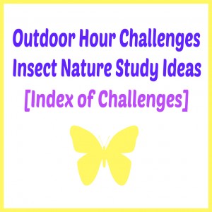 Outdoor Hour Challenge Insect Nature Study Challenges Index @handbookofnaturestudy