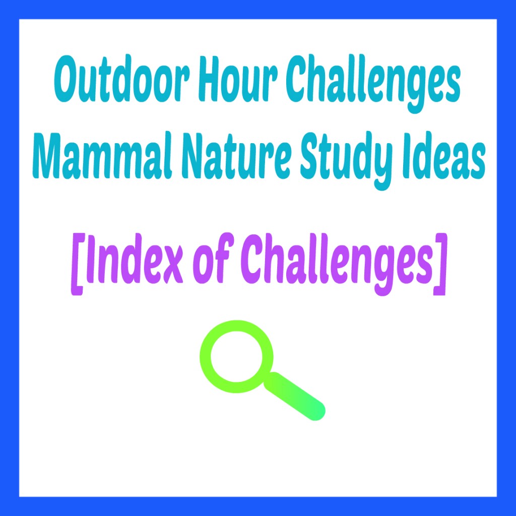 Outdoor Hour Challenge Mammal Nature Study Index @handbookofnaturestudy