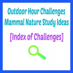 Outdoor Hour Challenge Mammal Nature Study Index @handbookofnaturestudy