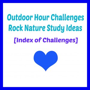 Outdoor Hour Challenge Rock Index @handbookofnaturestudy