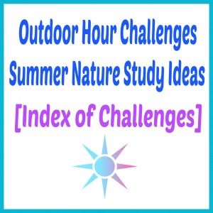 Outdoor Hour Challenge Summer Nature Study Ideas Index @handbookofnaturestudy
