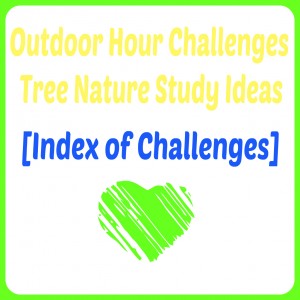 Outdoor Hour Challenge Tree Nature Study Index @handbookofnaturestudy