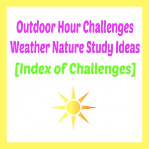 Outdoor Hour Challenge Weather Index @handbookofnaturestudy