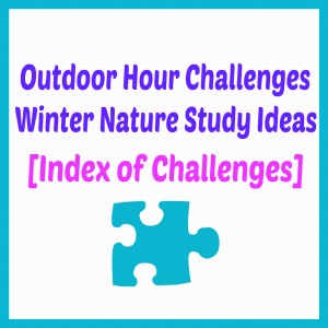Outdoor Hour Challenge Winter Nature Study Ideas Index @handbookofnaturestudy