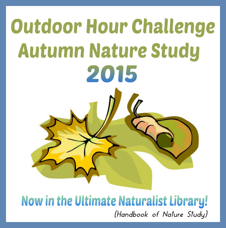 Outdoor Hour Challenge Autumn Nature Study 2015 @handbookofnaturestudy