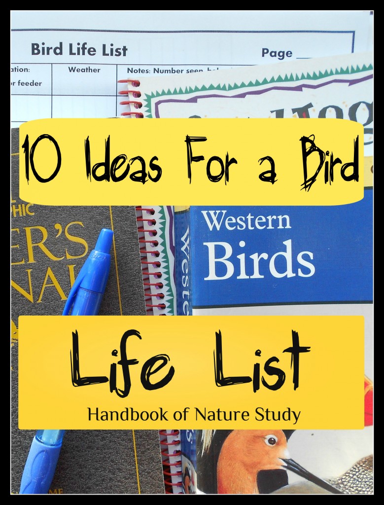 10 Ideas for a Bird Life List @HBNatureStudy