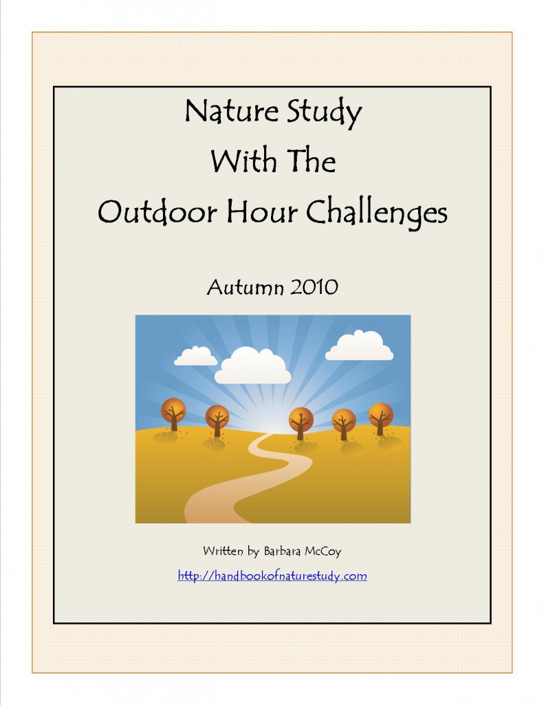 Autumn 2010 Cover Image