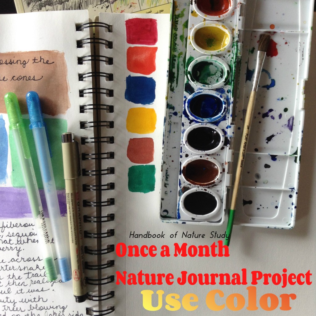 Once a Month Nature Journal Project Use Color @handbookofnaturestudy