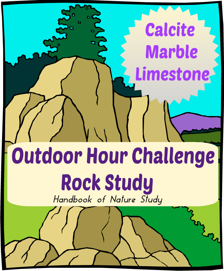 Outdoor Hour Challenge Rock Study Marble Calcite Limestone @handbookofnaturestudy