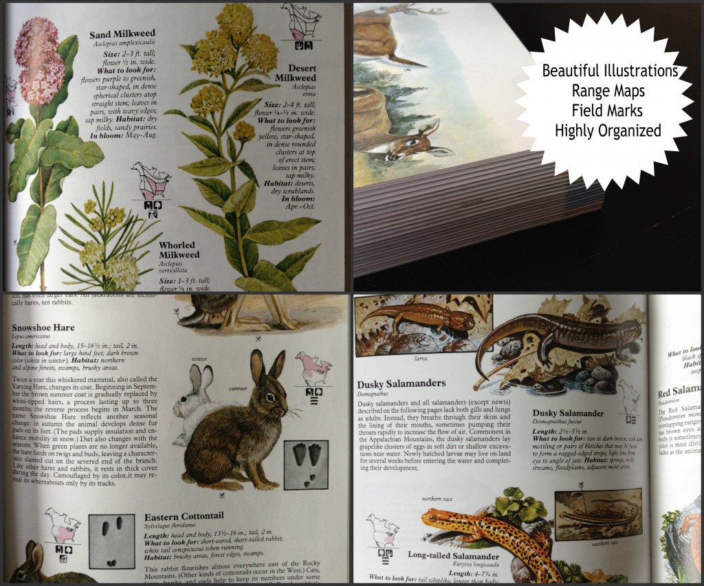 Readers Digest North American Wildlife @handbookofnaturestudy