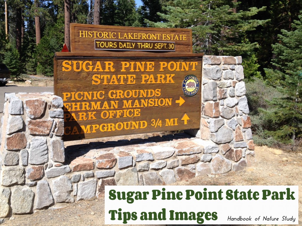 Sugar Pine Point State Park Tips and Images @handbookofnaturestudy