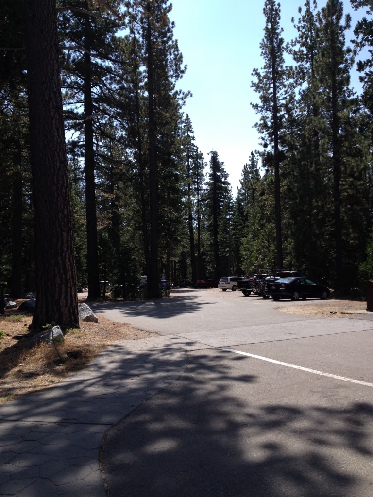 sugar Pine Point aug 2015 (2)