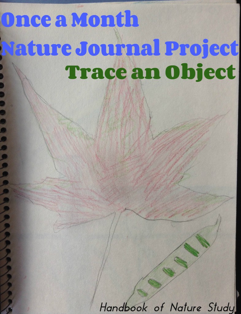 Once a Month Nature Journal Project Trace an Object @handbookofnaturestudy
