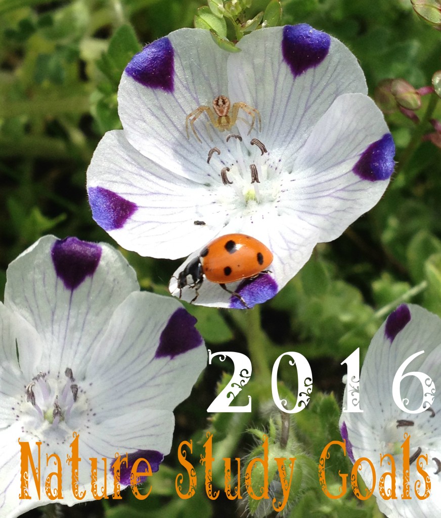 Handbook of Nature Study Goals 2016 @handbookofnaturestudy
