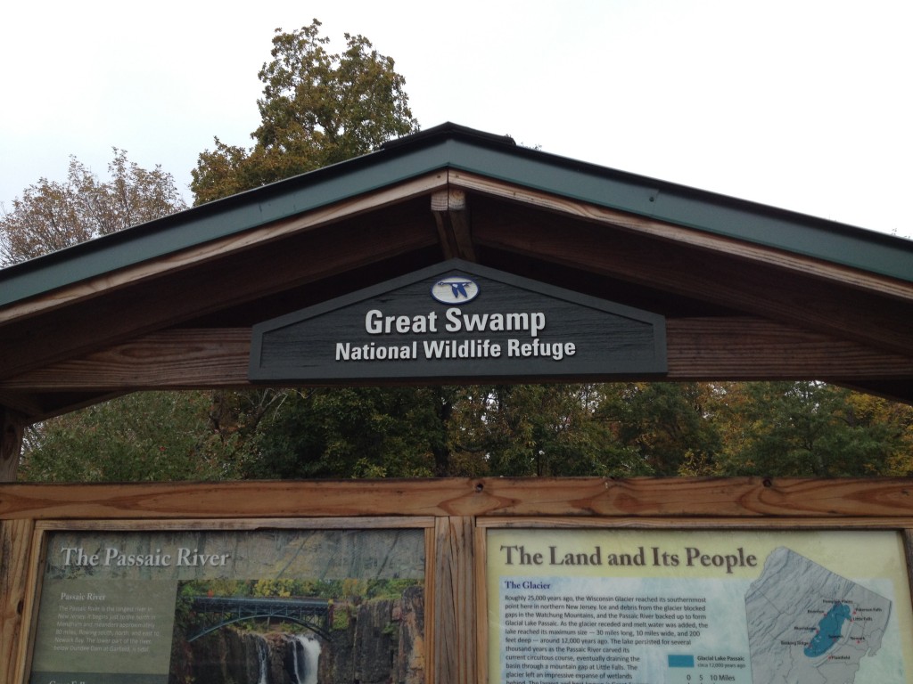 Great Swamp National Wildlife Refuge