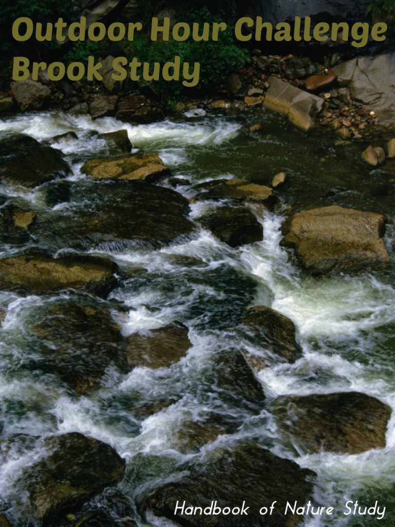 Outdoor Hour Challenge Brook Nature Study @handbookofnaturestudy