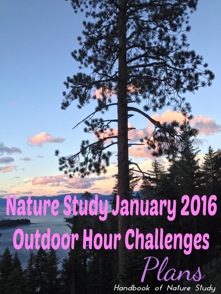 Outdoor Hour Challenges Nature Study January 2016 Plans @handbookofnaturestudy