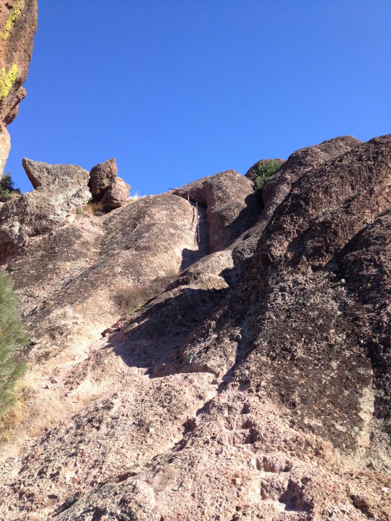 Pinnacles National Park Nov 2015 (44)